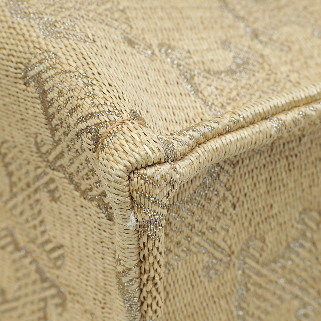 Celine Bicolor Triomphe All Over Small Raffia Effect Cabas Bag