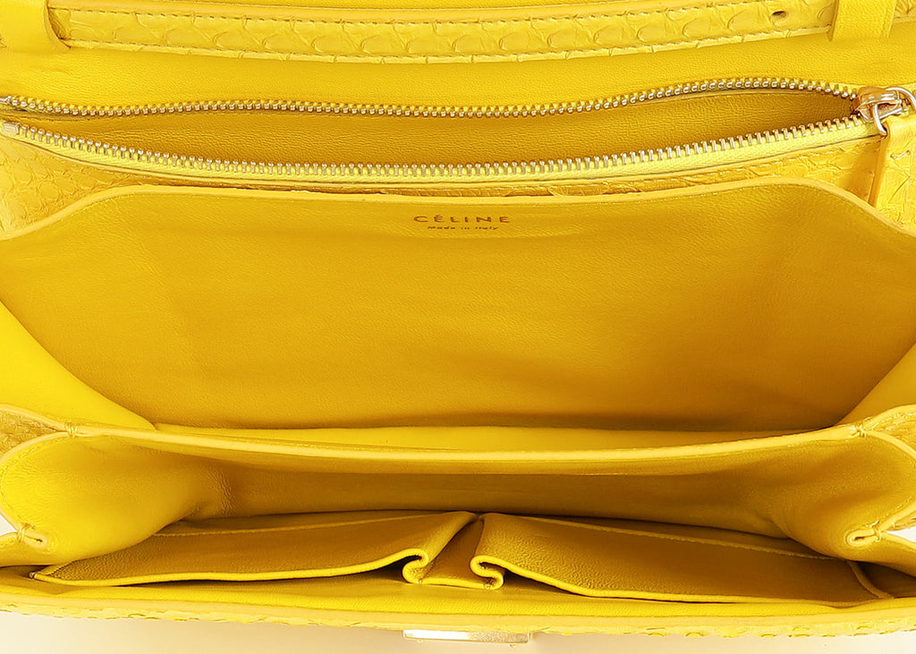 Celine Yellow Python Box Medium Shoulder Bag