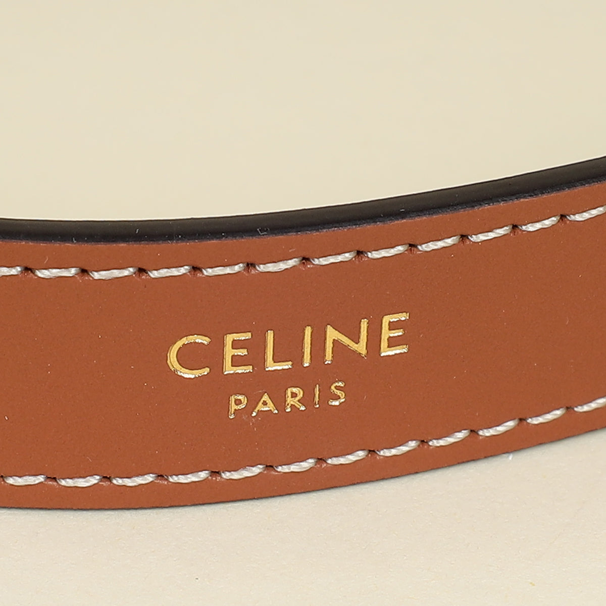 Celine Bicolor Ava Triomphe Hobo Medium Bag