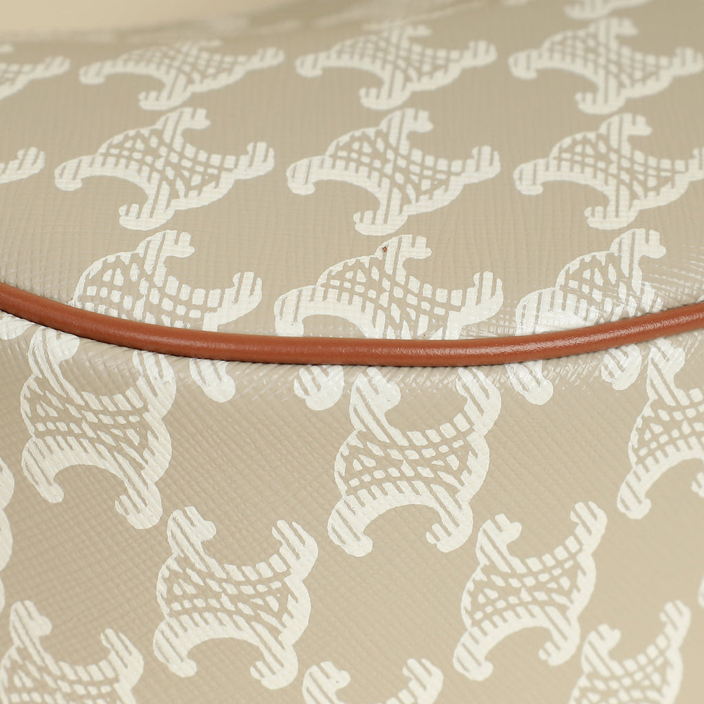 Celine Bicolor Ava Triomphe Hobo Medium Bag