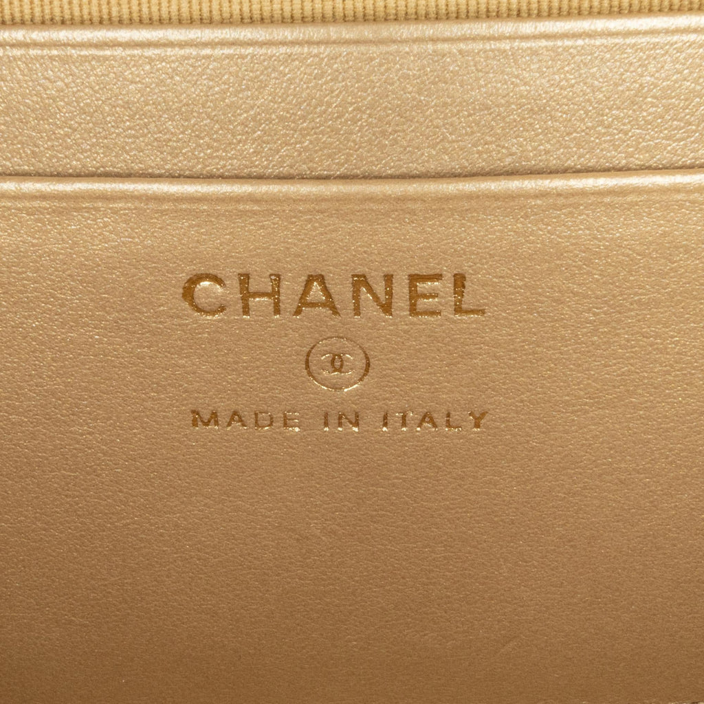 Chanel CC Quilted Lambskin Pearl Crush Camera Bag (SHG-S5d4T2)