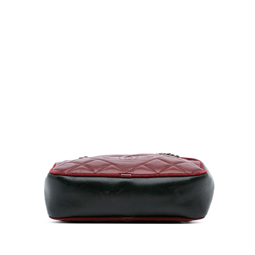 Chanel Small Bicolor Quilted Calfskin Ballerine Camera Bag