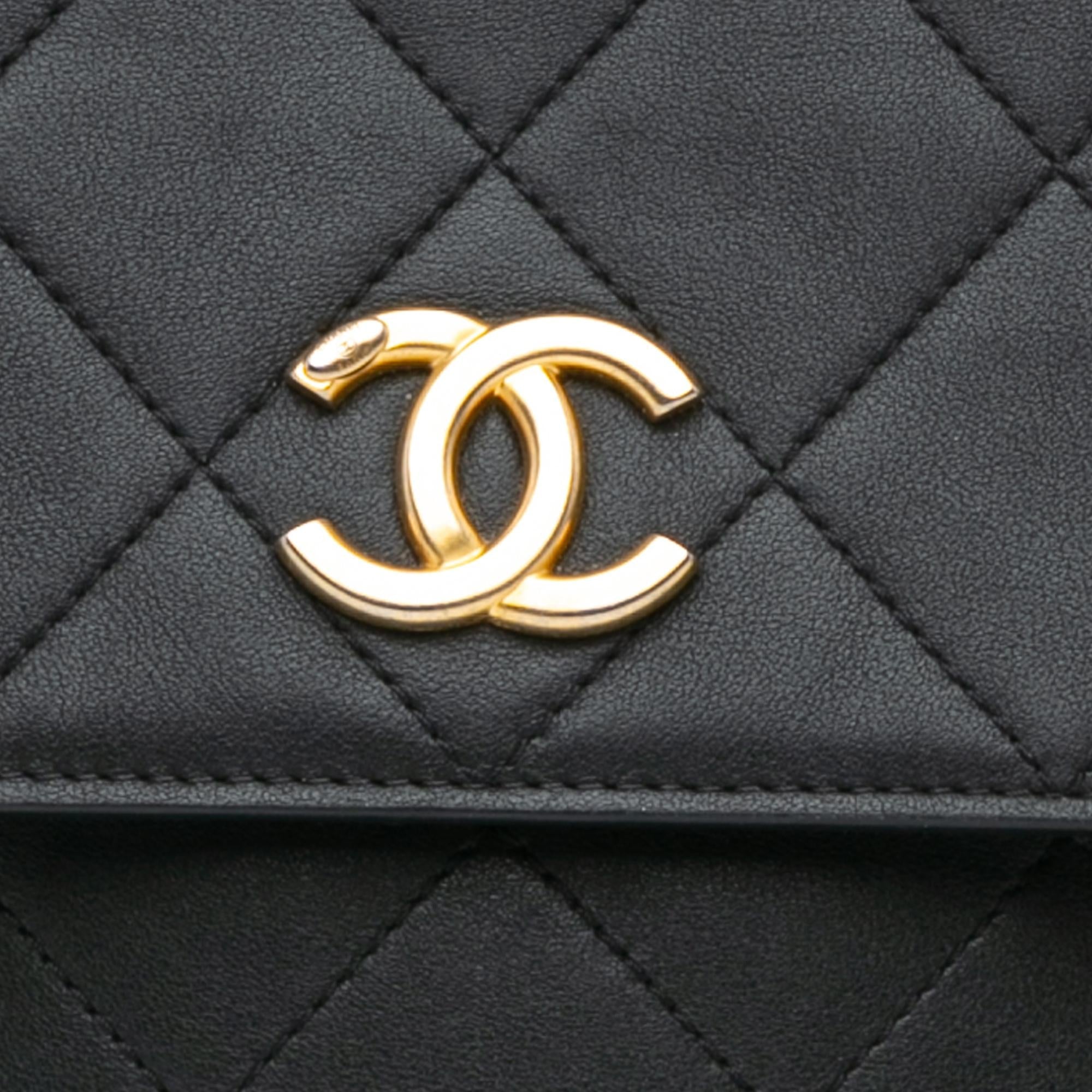 Chanel Small Quilted Calfskin Chain Hobo Flap (SHG-Un4nYy)