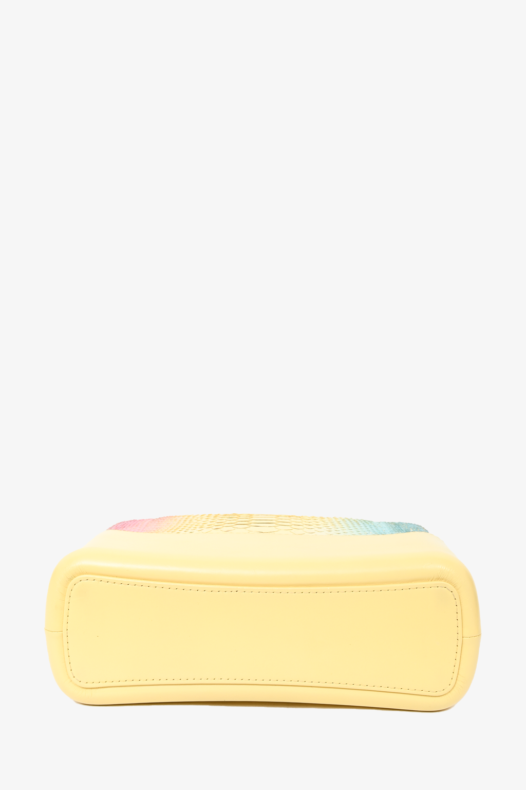 Chanel™ Cruise 2019 Multicolour Rainbow Python Medium Gabrielle Bag