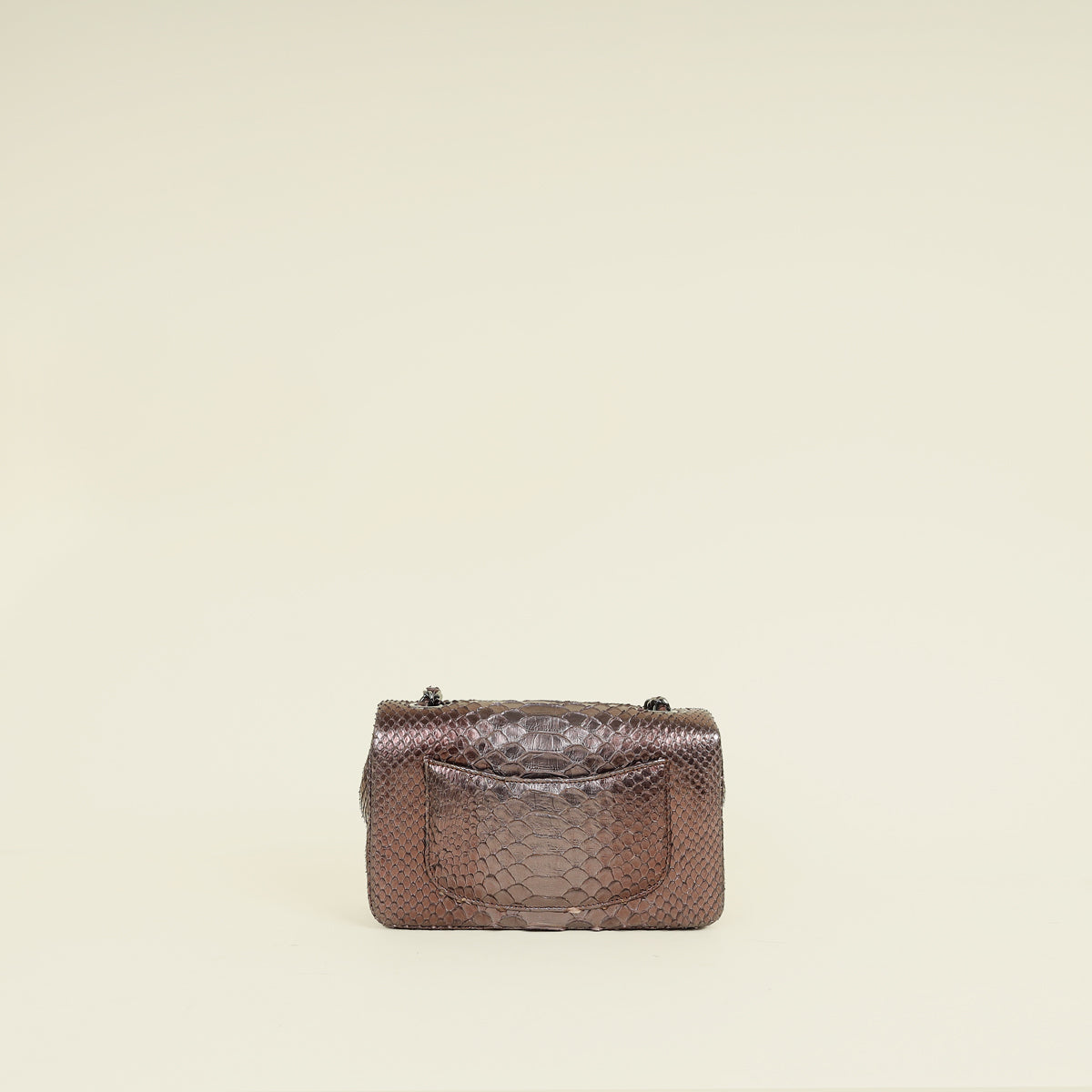Chanel Bicolor Python Classic Mini Flap Bag
