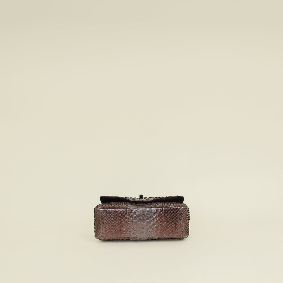 Chanel Bicolor Python Classic Mini Flap Bag