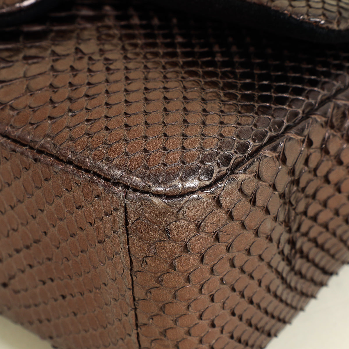 Chanel Bicolor Python Classic Mini Flap Bag