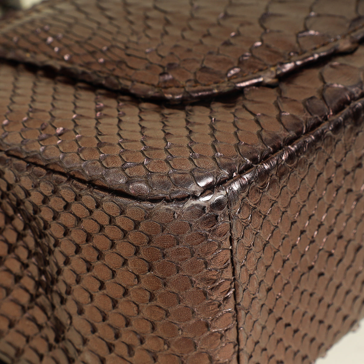 Chanel Bicolor Python Classic Mini Flap Bag