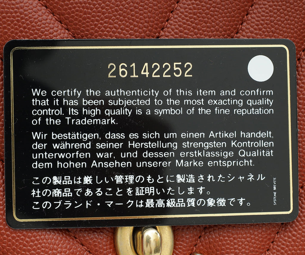 Chanel Rust Orange Chevron Coco Handle Bag