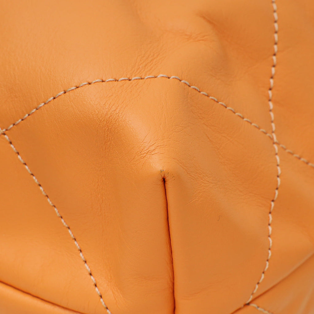 Chanel Coral Apricot 22 Shiny Small Hobo Bag