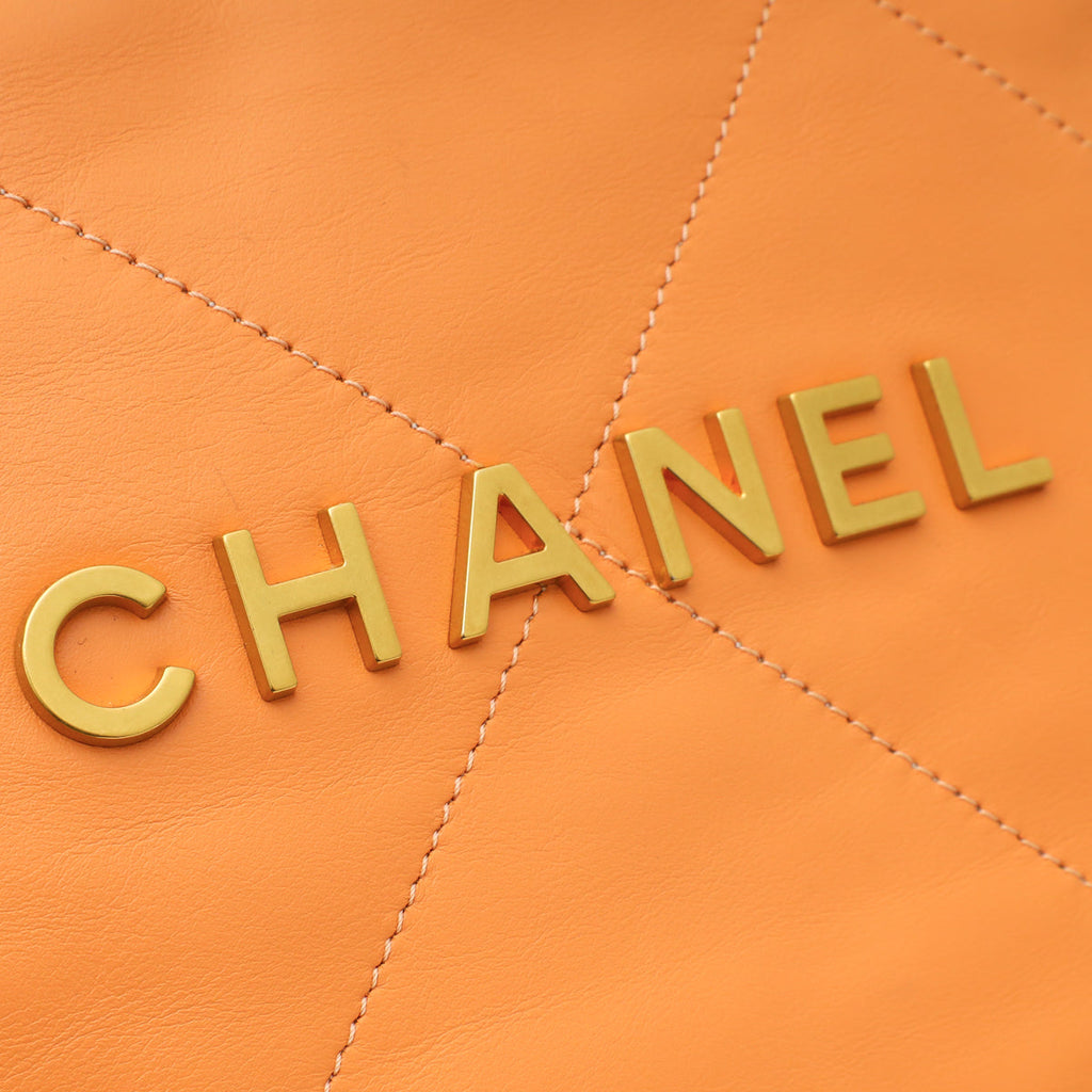Chanel Coral Apricot 22 Shiny Small Hobo Bag