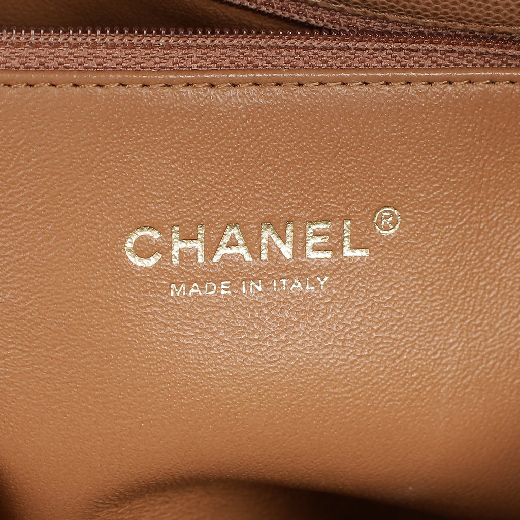 Chanel Bicolor CC Coco Handle Lizard Touch Bag