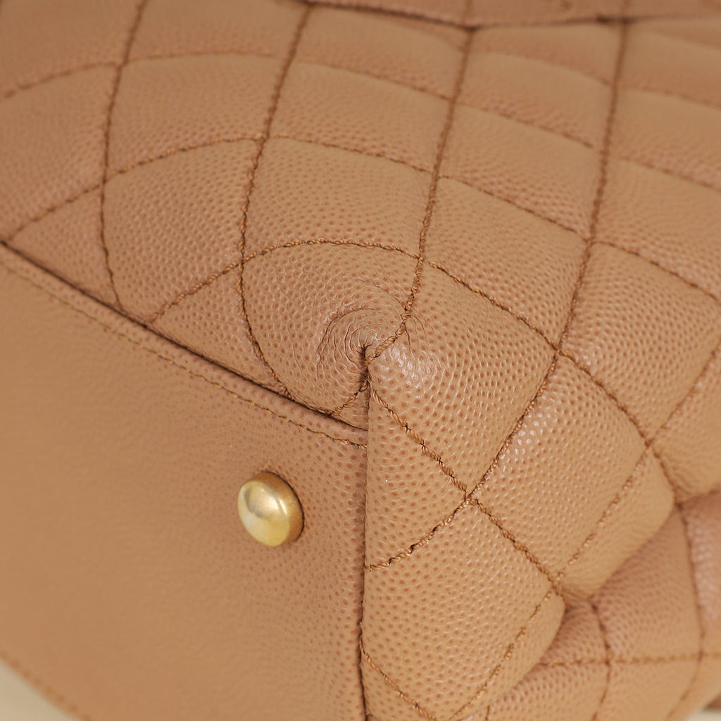 Chanel Bicolor CC Coco Handle Lizard Touch Bag