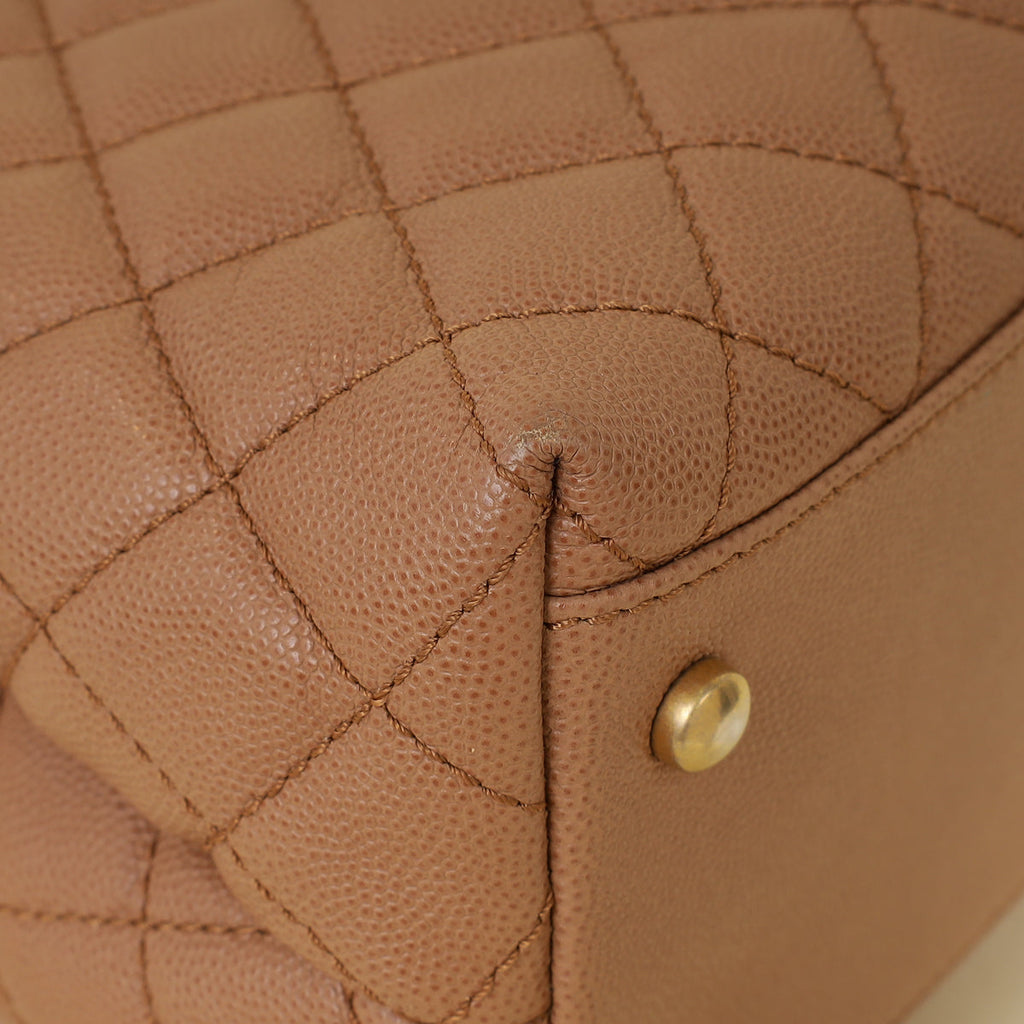 Chanel Bicolor CC Coco Handle Lizard Touch Bag