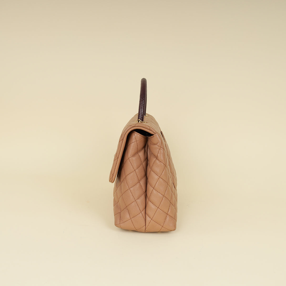 Chanel Bicolor CC Coco Handle Lizard Touch Bag