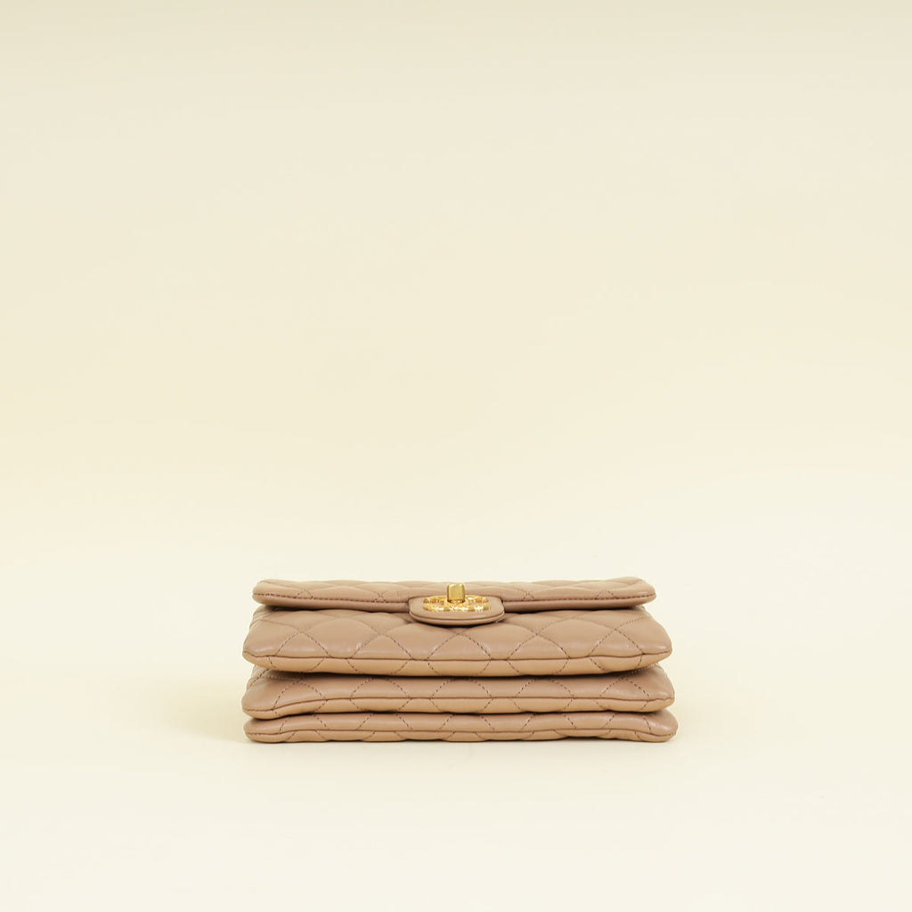 Chanel Natural Pillow Crush Small Flap Shoulder Bag