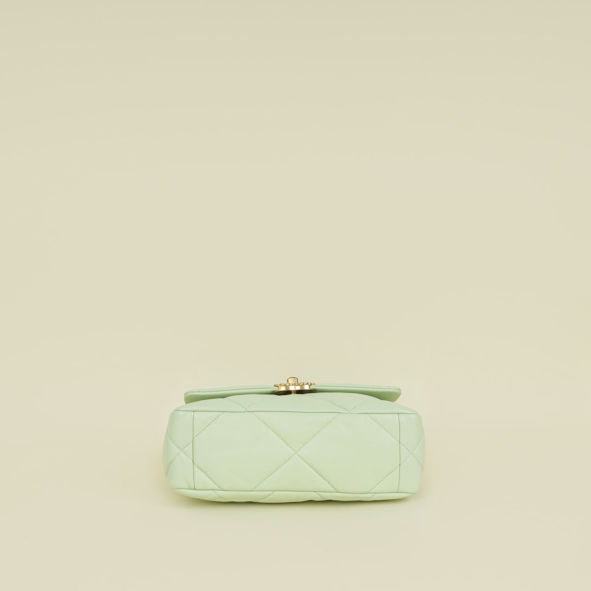 Chanel Light Mint 19 Flap Small Shoulder Bag