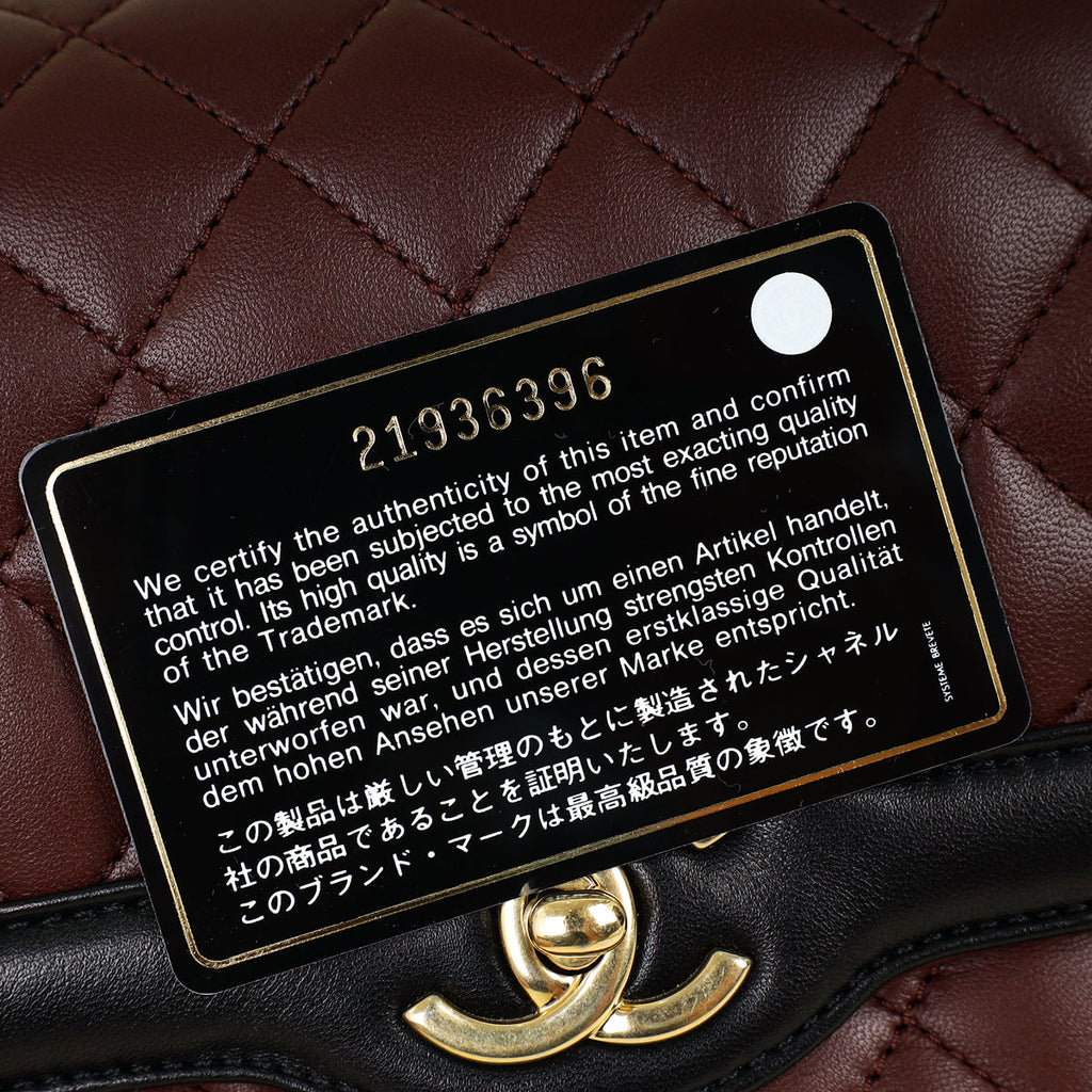 Chanel Bicolor CC Quilted Two Tone Day Flap Bag