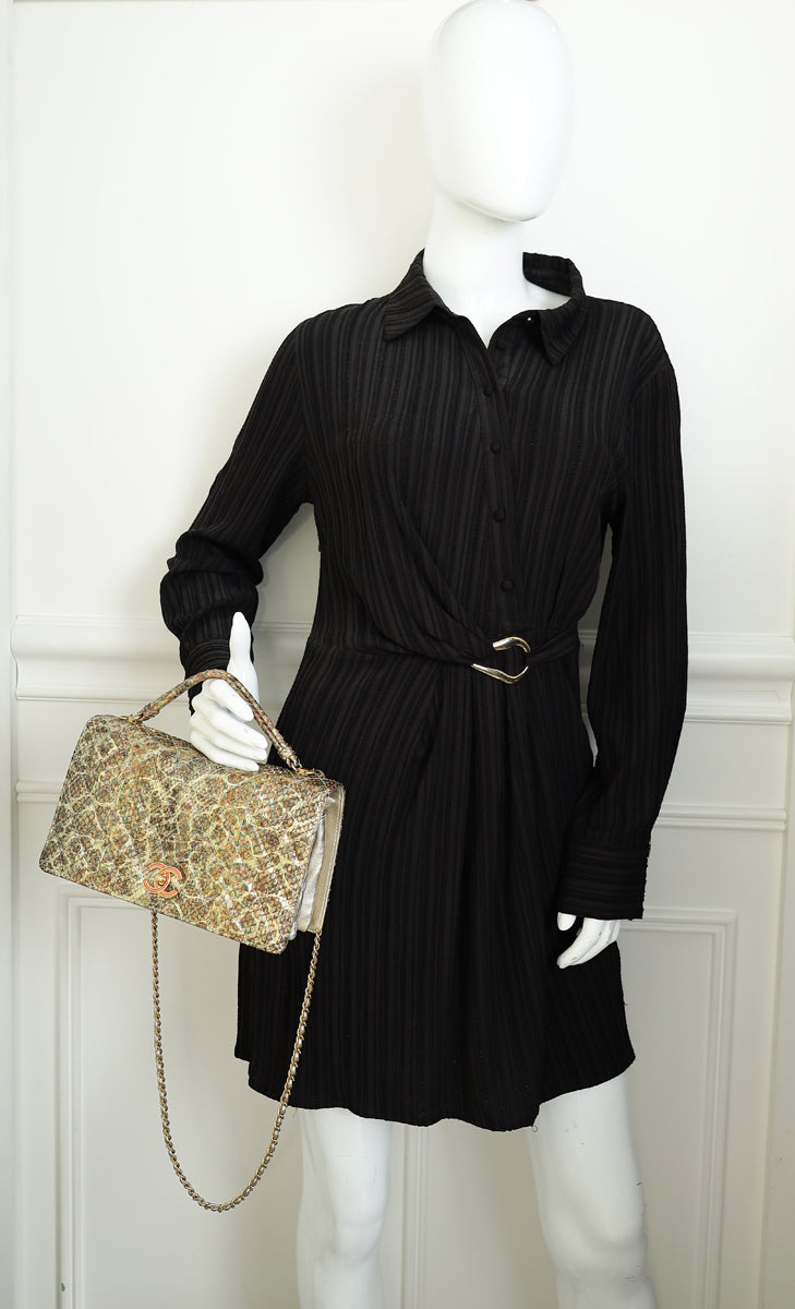 Chanel Multicolor CC Full Flap Python Top Handle Bag