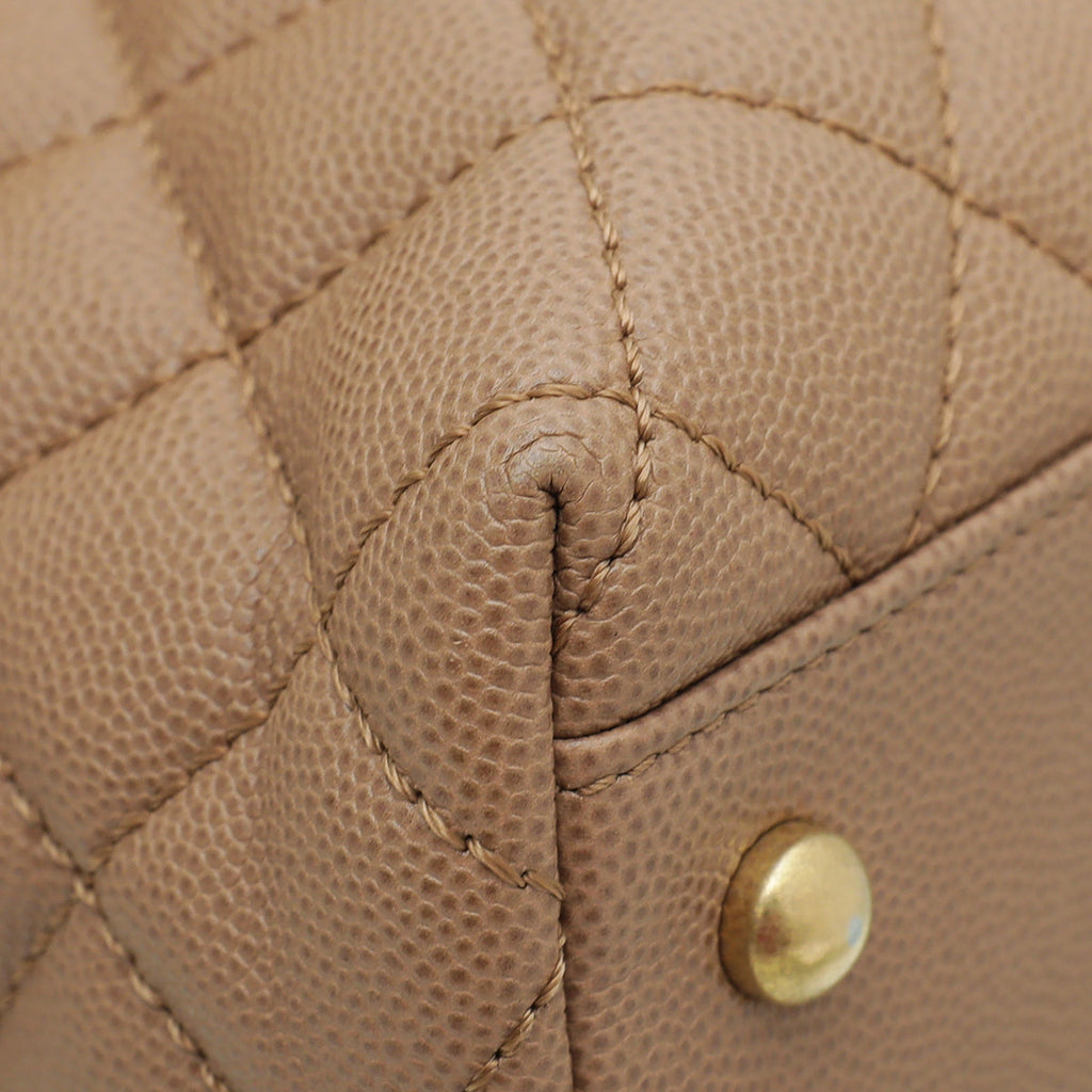 Chanel Light Brown Coco Handle Lizard Medium Bag