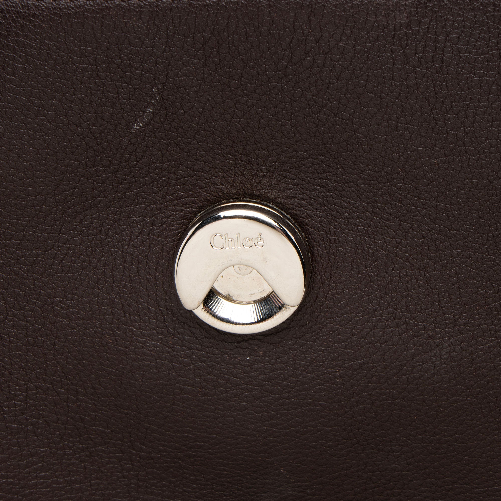 Chloe Calfskin Faye Day Medium Shoulder Bag (SHF-c4lA4C)