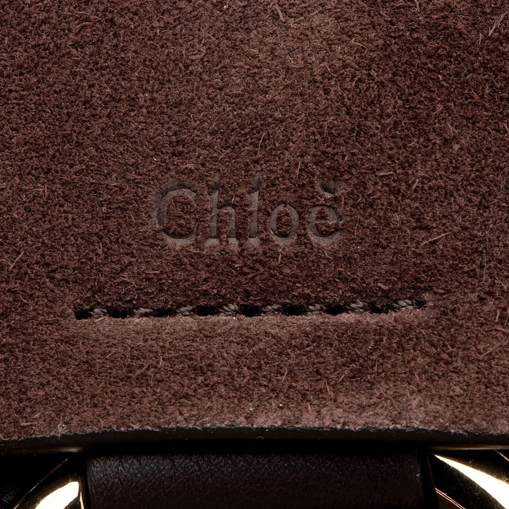 Chloe Calfskin Mini Faye Backpack