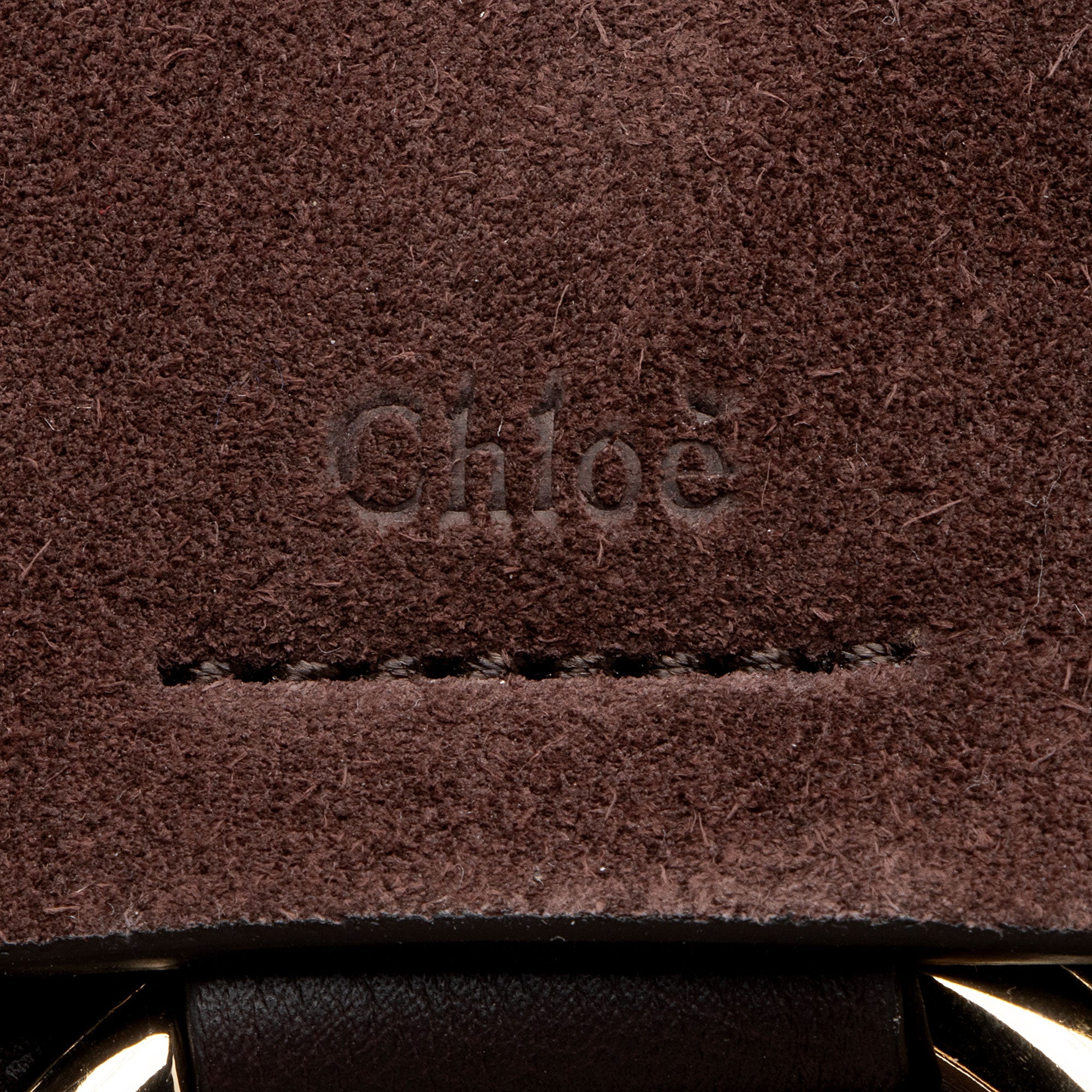 Chloe Calfskin Mini Faye Backpack