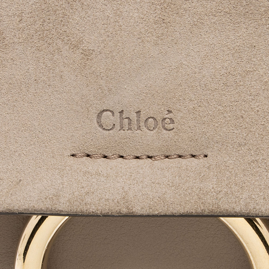 Chloe Calfskin Suede Faye Medium Backpack (SHF-BH2EAY)
