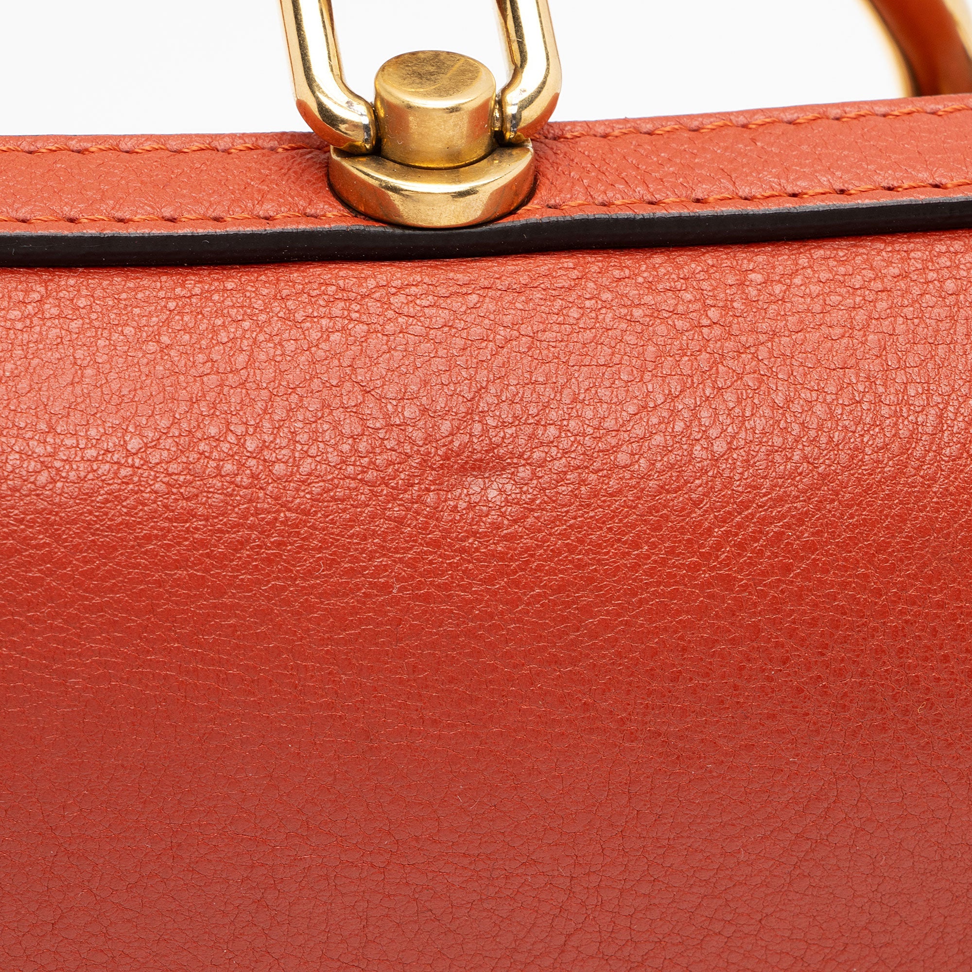 Chloe Calfskin Suede Nile Medium Bracelet Bag (SHF-Hjc6u8)