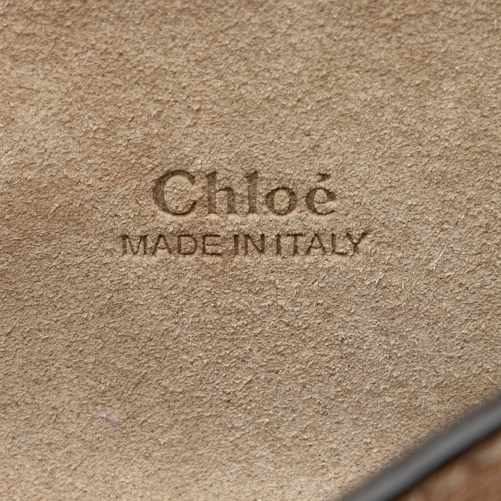 Chloe Metallic Calfskin Faye Mini Shoulder Bag