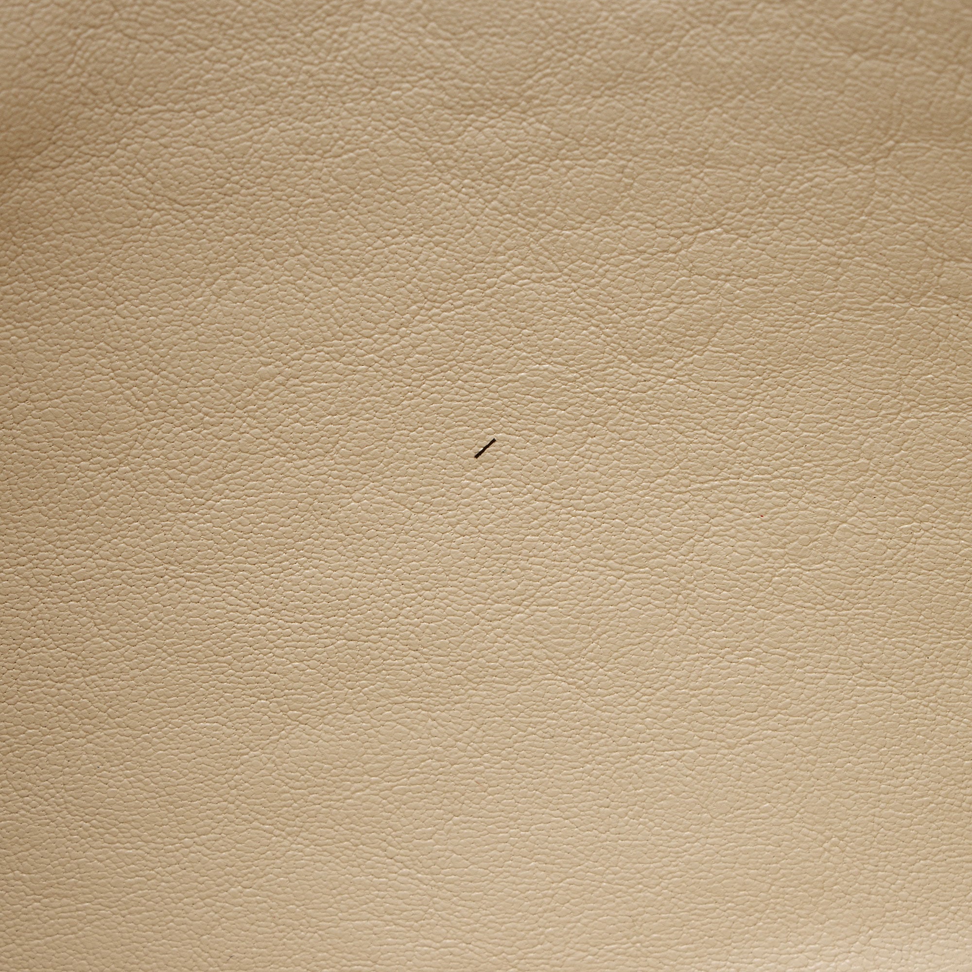Chloe Sheepskin Ghost Flat Pouch Clutch