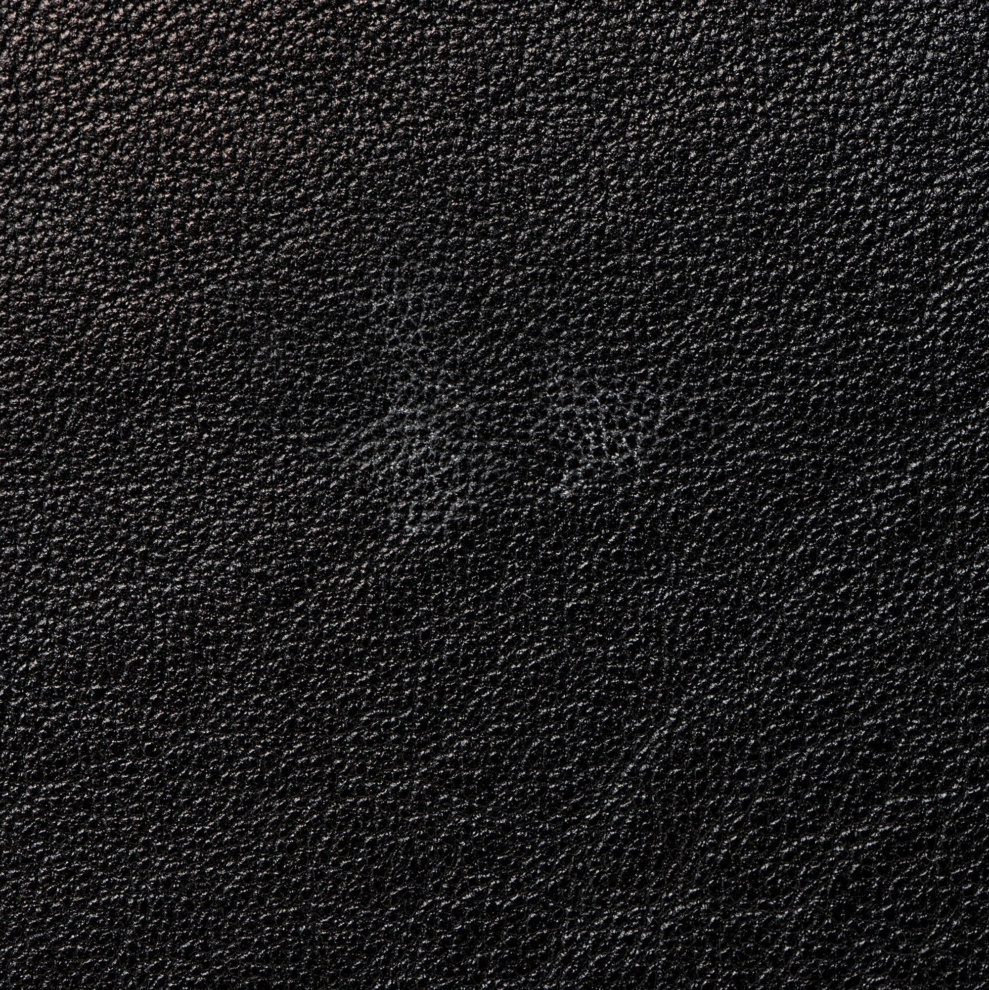 Chloe Sheepskin Ghost Flat Pouch Clutch