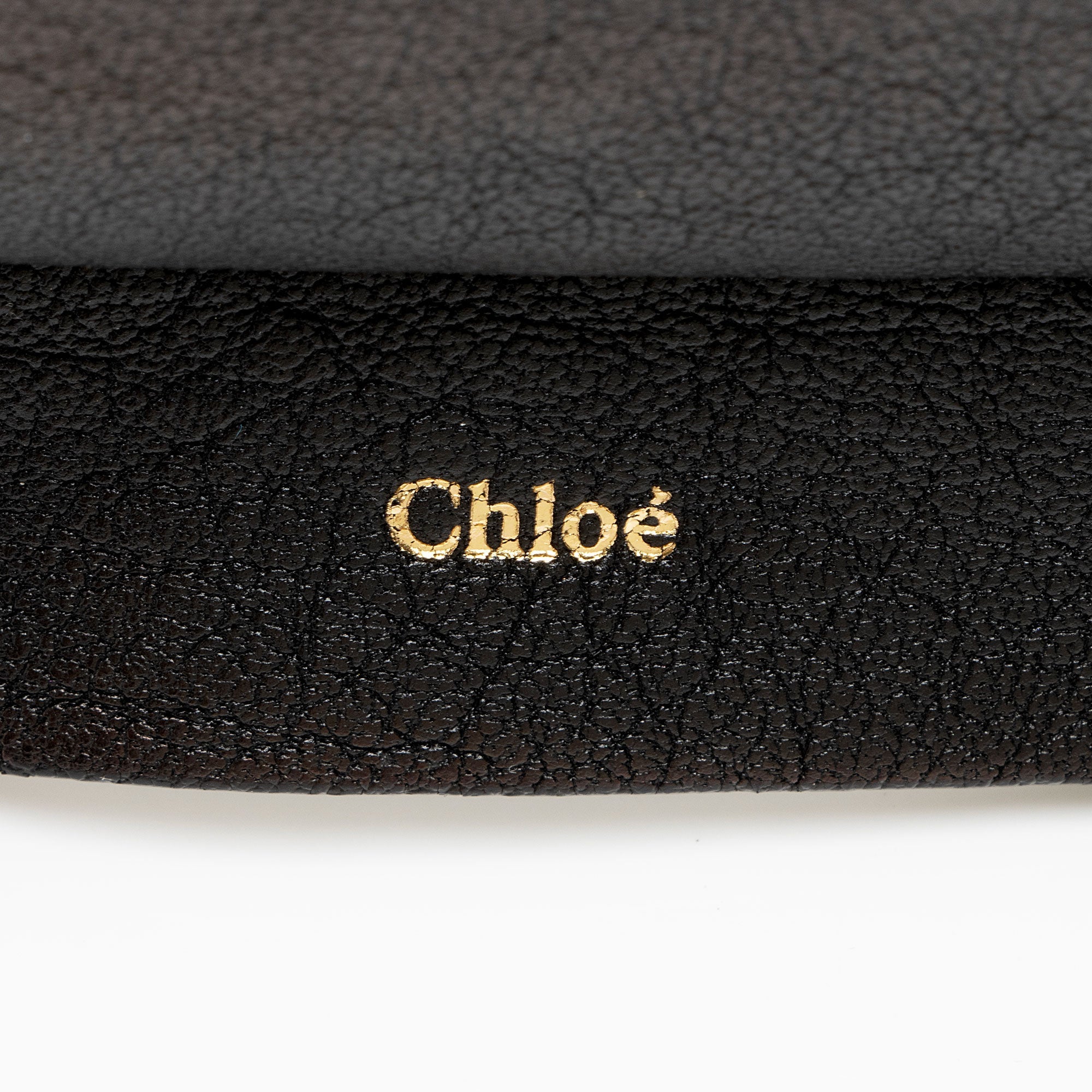 Chloe Sheepskin Ghost Flat Pouch Clutch