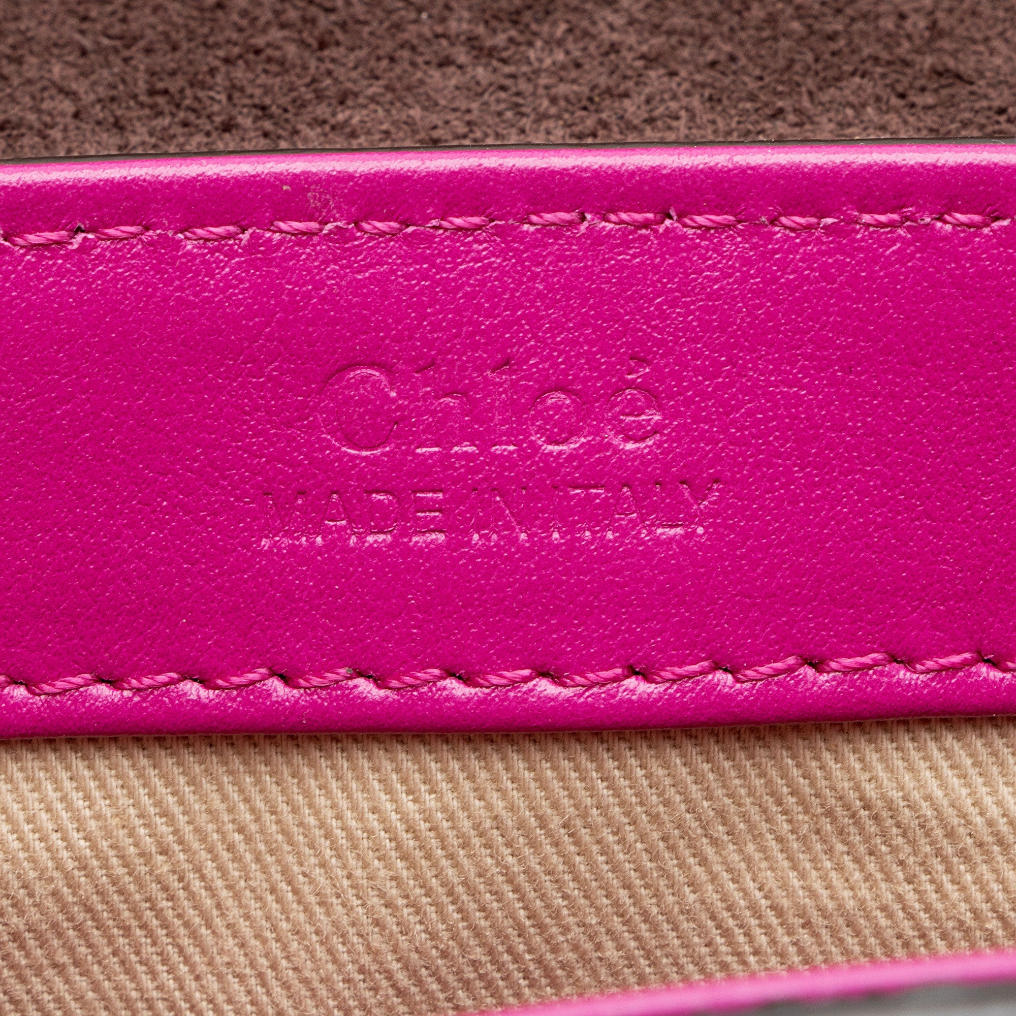 Chloe Shiny Calfskin Python Embossed Leather Mini C Bag