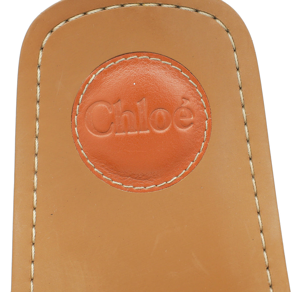 Chloe Blue Woody Logo Denim Slide Sandal 39