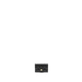 Chanel Classic Flap Card Holder Caviar Black  (microchip)