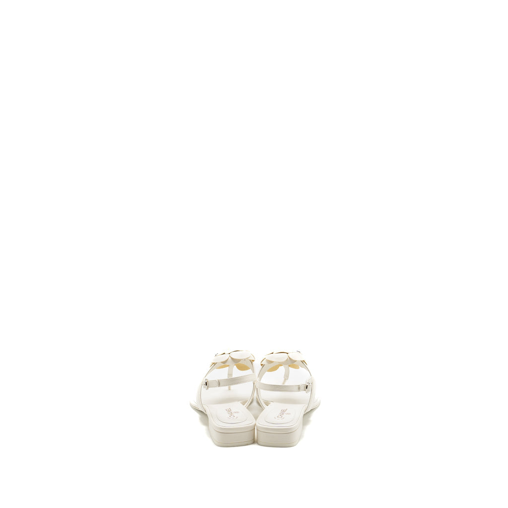 Chanel Size 39 Camellia Sandals white