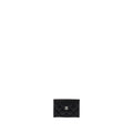 Chanel Classic Card Holder Caviar Black ( Microchip)