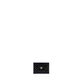 Chanel Classic Card Holder Caviar Black  (microchip)