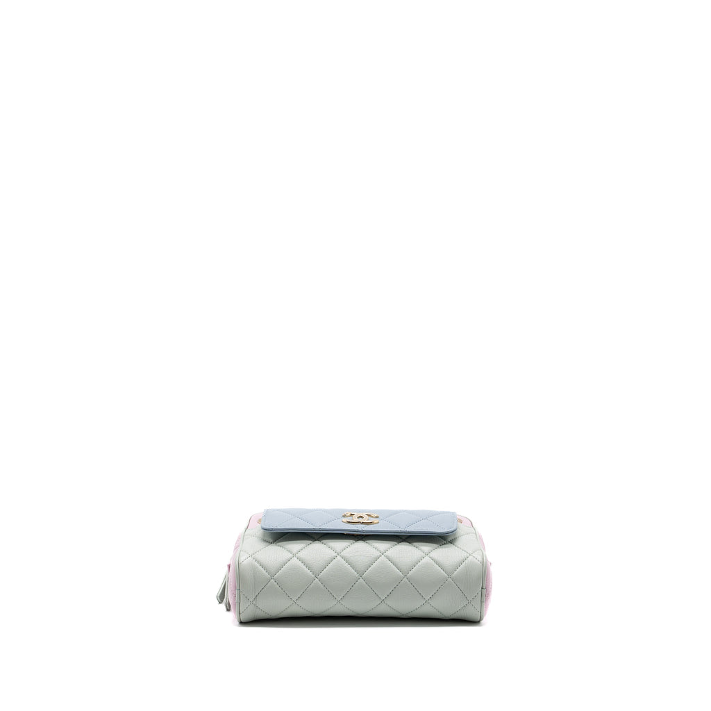 Chanel small camera bag goatskin multicolor green / blue / pink L