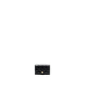 Chanel classic flap card holder caviar black  (microchip)