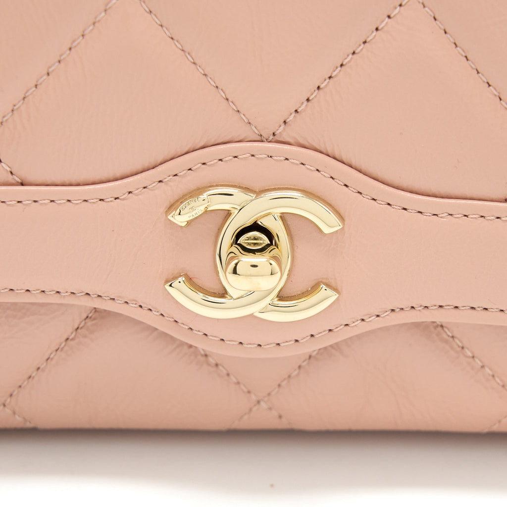 Chanel Seasonal Flap Bag Aged Calfskin Pink L