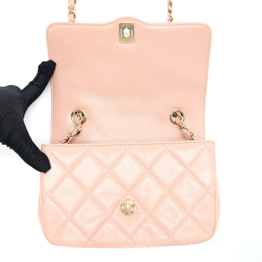 Chanel Seasonal Flap Bag Aged Calfskin Pink L