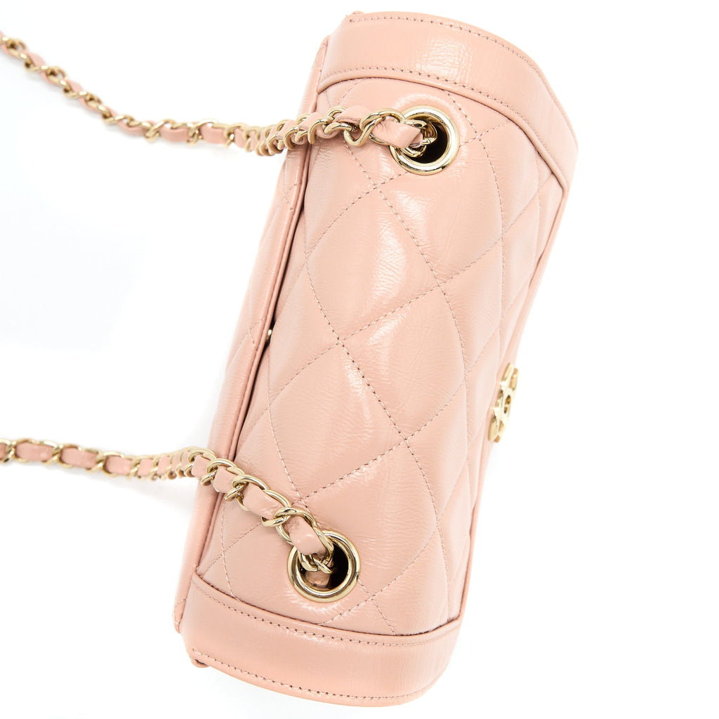 Chanel Seasonal Flap Bag Aged Calfskin Pink L