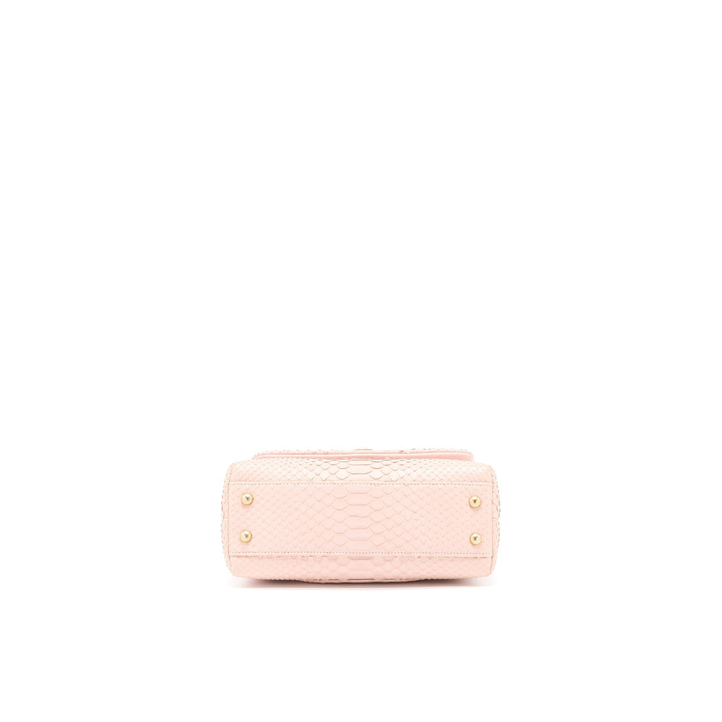 Chanel Small Coco Handle Python Leather Light Pink Brushed