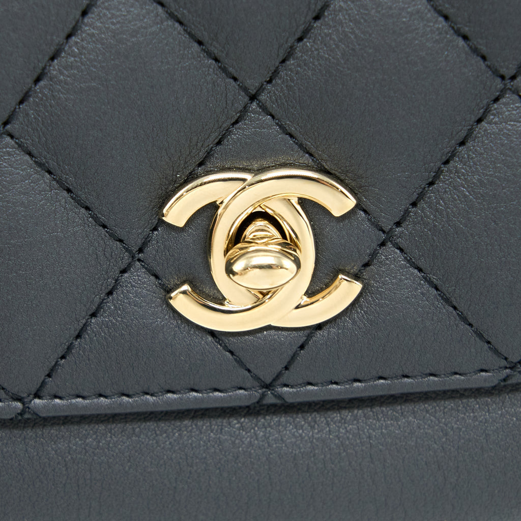 Chanel Quilted Waist Bag Calfskin Black L