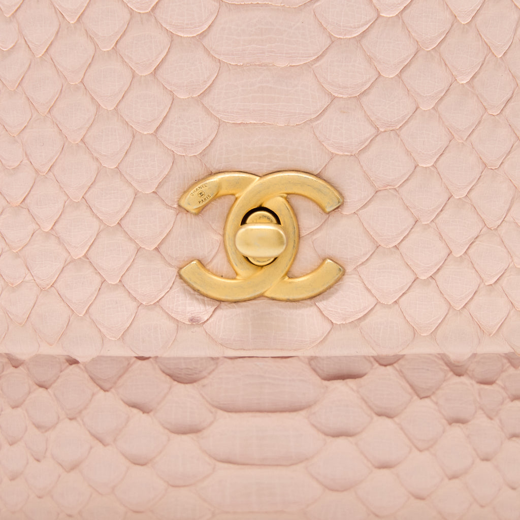 Chanel Small Coco Handle Python Leather Light Pink Brushed