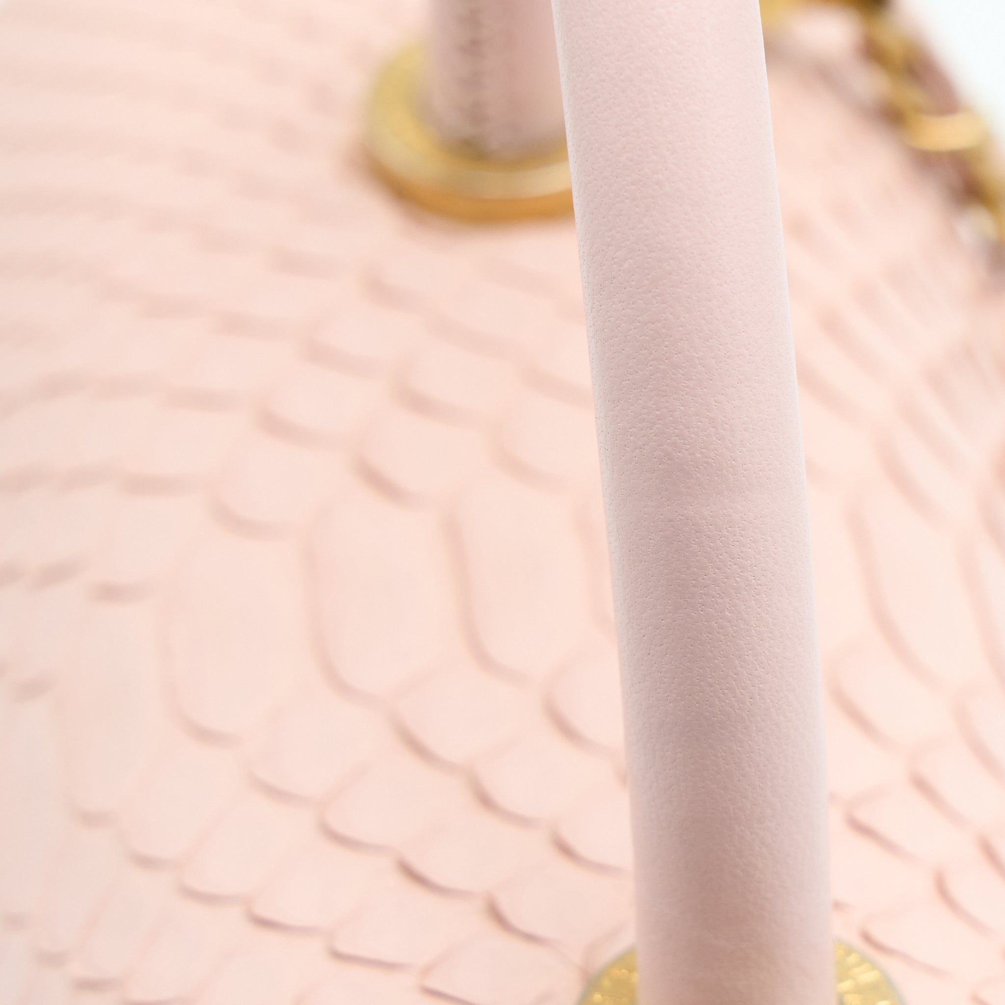 Chanel Small Coco Handle Python Leather Light Pink Brushed
