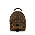 Louis Vuitton Palm Springs Backpack Mini - Monogram Canvas