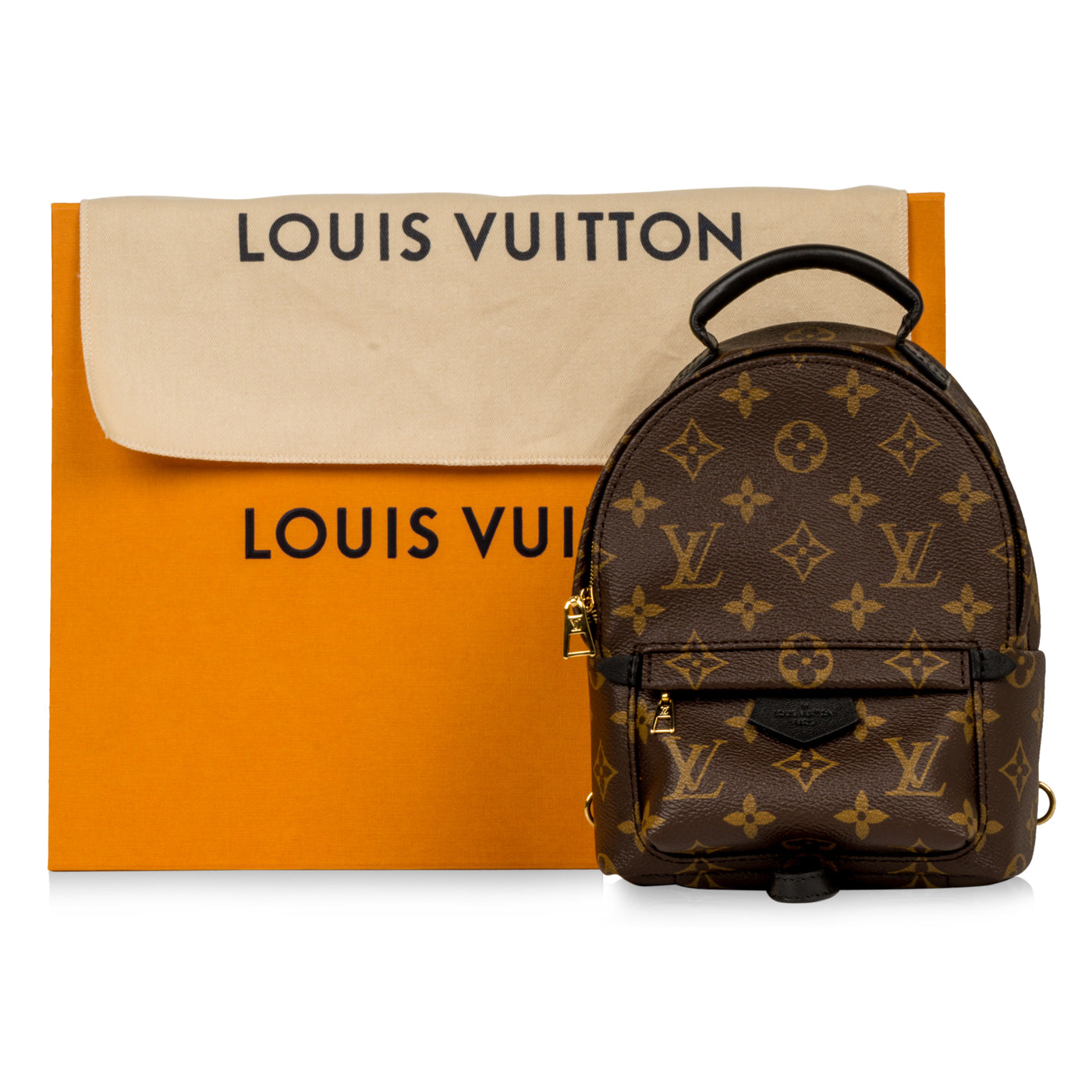 Louis Vuitton Palm Springs Backpack - Mini